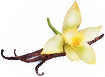 Иллюстрация к книге — Кулинарная энциклопедия. Том 4. Б-В (Брусника – Венгерские клёцки) [_69.jpg]