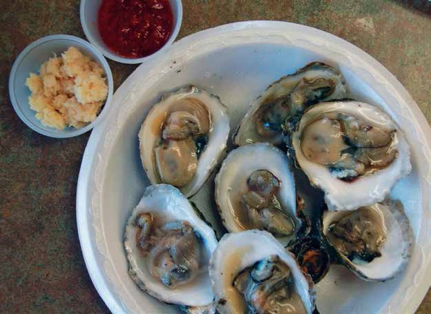 Иллюстрация к книге — Кулинарная энциклопедия. Том 3. Б. Бешамель - Брускетта [_40.jpg]