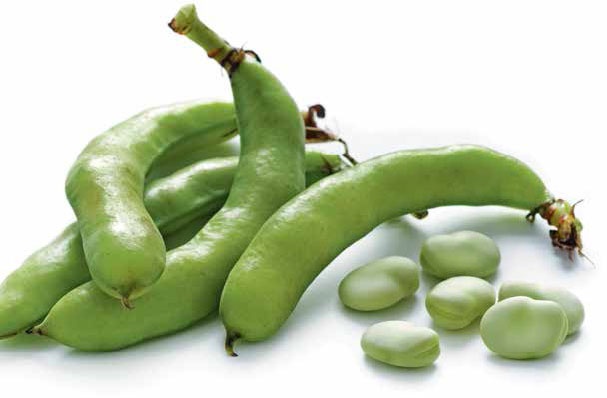 Иллюстрация к книге — Кулинарная энциклопедия. Том 3. Б. Бешамель - Брускетта [_43.jpg]