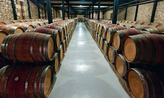 Иллюстрация к книге — Кулинарная энциклопедия. Том 3. Б. Бешамель - Брускетта [_45.jpg]