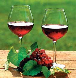 Иллюстрация к книге — Кулинарная энциклопедия. Том 3. Б. Бешамель - Брускетта [_46.jpg]