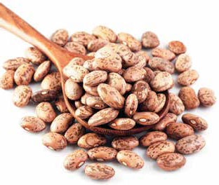 Иллюстрация к книге — Кулинарная энциклопедия. Том 3. Б. Бешамель - Брускетта [_64.jpg]