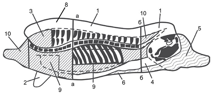 Иллюстрация к книге — Секреты домашнего копчения [i_001.jpg]