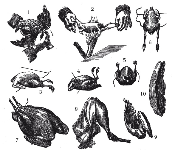 Иллюстрация к книге — Практические основы кулинарного искусства [i_004.jpg]