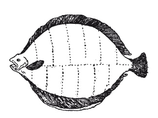 Иллюстрация к книге — Практические основы кулинарного искусства [i_007.jpg]