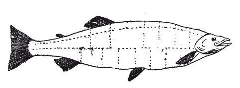 Иллюстрация к книге — Практические основы кулинарного искусства [i_008.jpg]