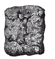 Иллюстрация к книге — Практические основы кулинарного искусства [i_010.jpg]