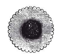 Иллюстрация к книге — Практические основы кулинарного искусства [i_017.jpg]