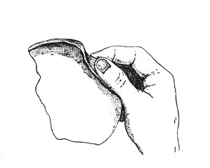 Иллюстрация к книге — Практические основы кулинарного искусства [i_022.jpg]