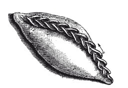 Иллюстрация к книге — Практические основы кулинарного искусства [i_024.jpg]