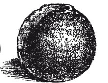 Иллюстрация к книге — Практические основы кулинарного искусства [i_031.jpg]