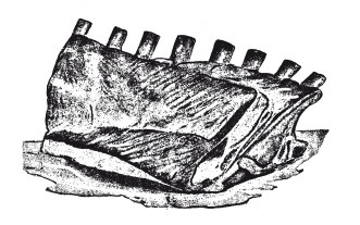 Иллюстрация к книге — Практические основы кулинарного искусства [i_032.jpg]