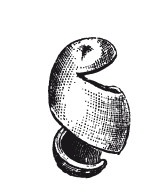 Иллюстрация к книге — Практические основы кулинарного искусства [i_035.jpg]