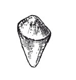 Иллюстрация к книге — Практические основы кулинарного искусства [i_036.jpg]