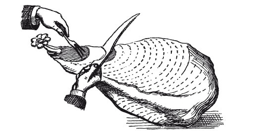 Иллюстрация к книге — Практические основы кулинарного искусства [i_041.jpg]