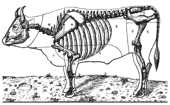 Иллюстрация к книге — Практические основы кулинарного искусства [i_096.jpg]