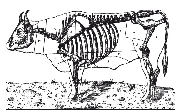 Иллюстрация к книге — Практические основы кулинарного искусства [i_098.jpg]