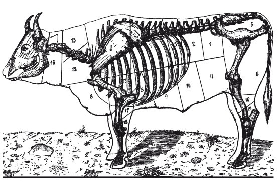 Иллюстрация к книге — Практические основы кулинарного искусства [i_099.jpg]