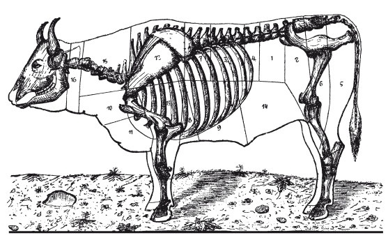 Иллюстрация к книге — Практические основы кулинарного искусства [i_100.jpg]