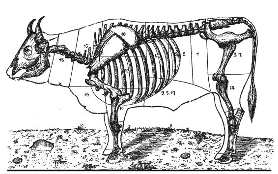 Иллюстрация к книге — Практические основы кулинарного искусства [i_101.jpg]