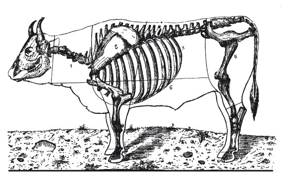 Иллюстрация к книге — Практические основы кулинарного искусства [i_105.jpg]