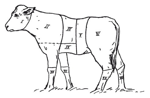 Иллюстрация к книге — Практические основы кулинарного искусства [i_109.jpg]