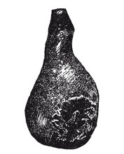 Иллюстрация к книге — Практические основы кулинарного искусства [i_118.jpg]