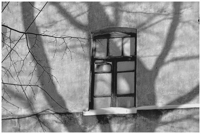 Иллюстрация к книге — Радуга и Вереск [i_001.jpg]