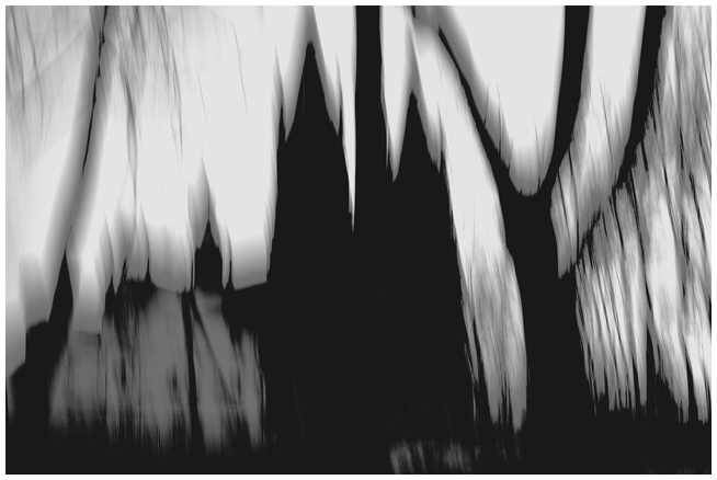 Иллюстрация к книге — Радуга и Вереск [i_003.jpg]