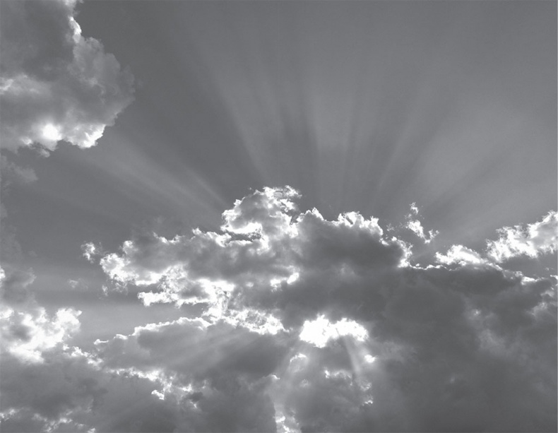 Иллюстрация к книге — Время желаний. Как начать жить для себя [_14.jpg]