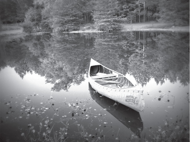 Иллюстрация к книге — Время желаний. Как начать жить для себя [_44.jpg]