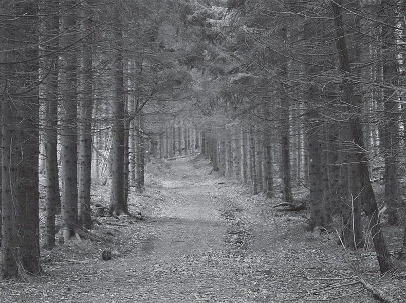 Иллюстрация к книге — Время желаний. Как начать жить для себя [_8.jpg]