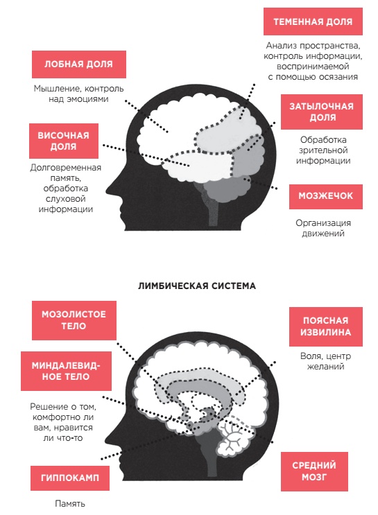 Иллюстрация к книге — Как забыть все забывать. 15 простых привычек, чтобы не искать ключи по всей квартире [i_002.jpg]