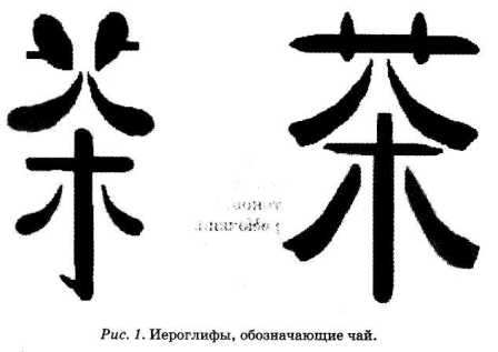 Иллюстрация к книге — Энциклопедия целебного чая [i_001.jpg]