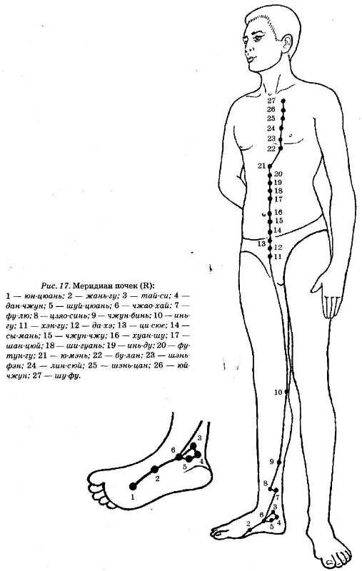 Иллюстрация к книге — Энциклопедия целебного чая [i_020.jpg]