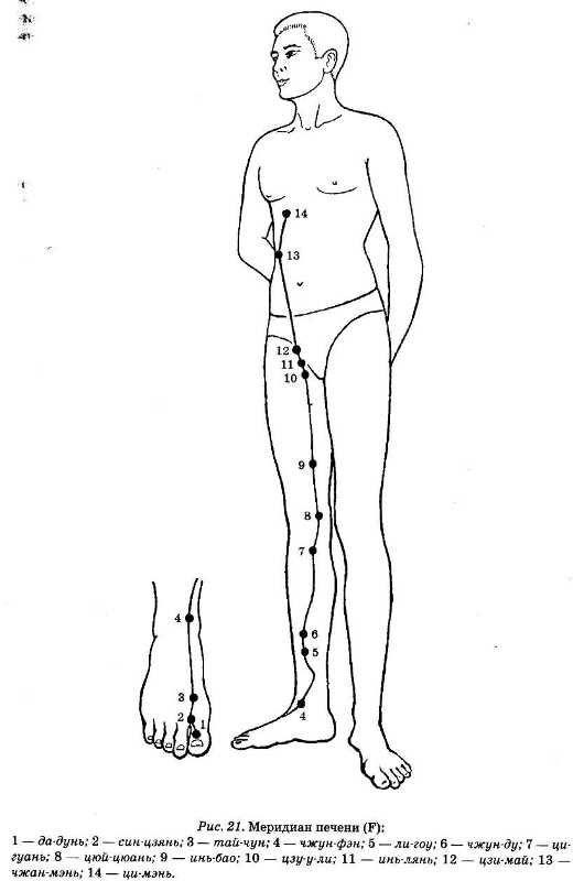 Иллюстрация к книге — Энциклопедия целебного чая [i_023.jpg]
