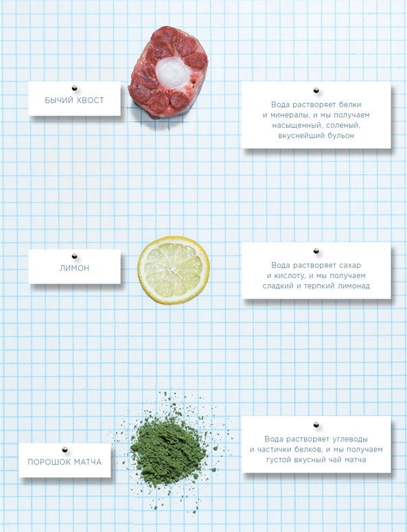 Иллюстрация к книге — Ингредиенты. Химия и алхимия гастрономического творчества [i_006.jpg]