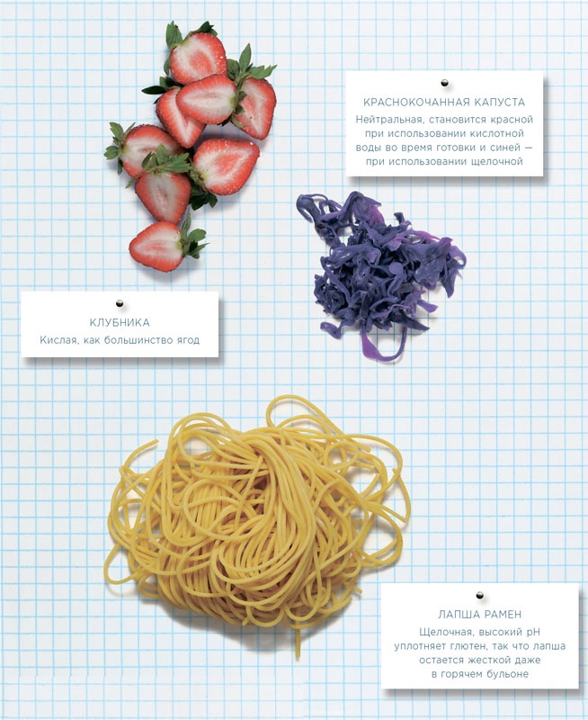 Иллюстрация к книге — Ингредиенты. Химия и алхимия гастрономического творчества [i_013.jpg]