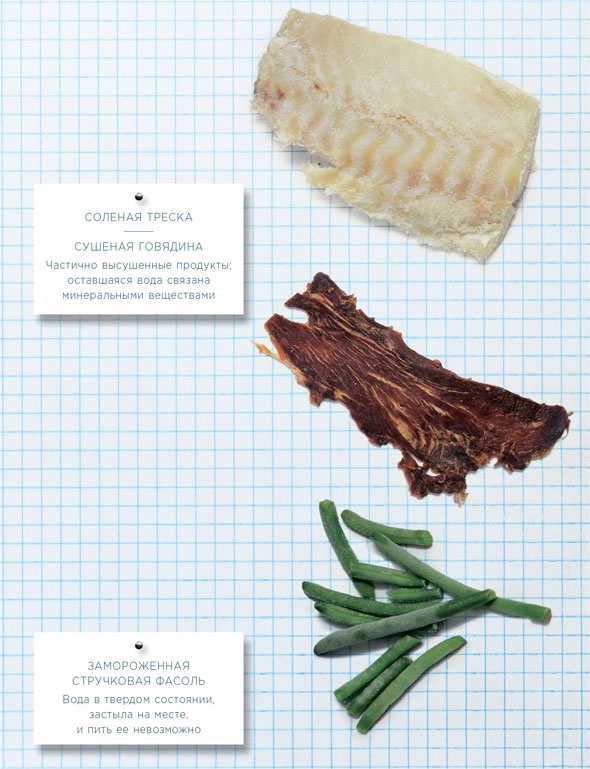 Иллюстрация к книге — Ингредиенты. Химия и алхимия гастрономического творчества [i_018.jpg]