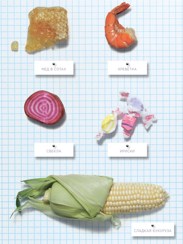Иллюстрация к книге — Ингредиенты. Химия и алхимия гастрономического творчества [i_022.jpg]