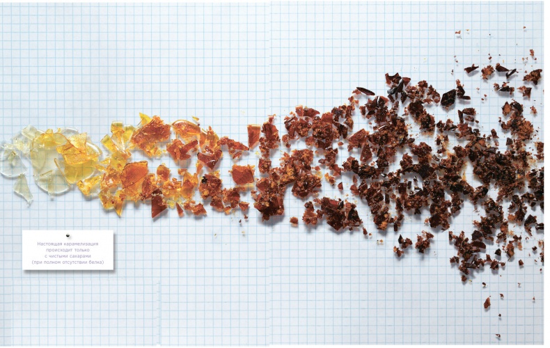 Иллюстрация к книге — Ингредиенты. Химия и алхимия гастрономического творчества [i_025.jpg]