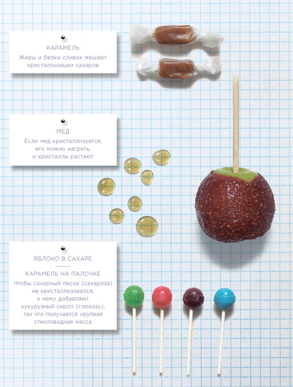 Иллюстрация к книге — Ингредиенты. Химия и алхимия гастрономического творчества [i_028.jpg]