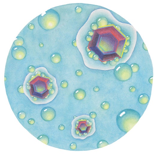 Иллюстрация к книге — Ингредиенты. Химия и алхимия гастрономического творчества [i_029.jpg]