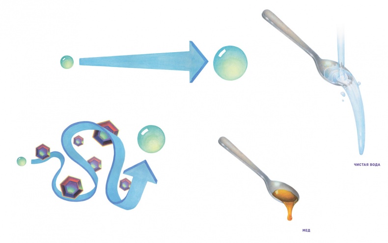 Иллюстрация к книге — Ингредиенты. Химия и алхимия гастрономического творчества [i_032.jpg]