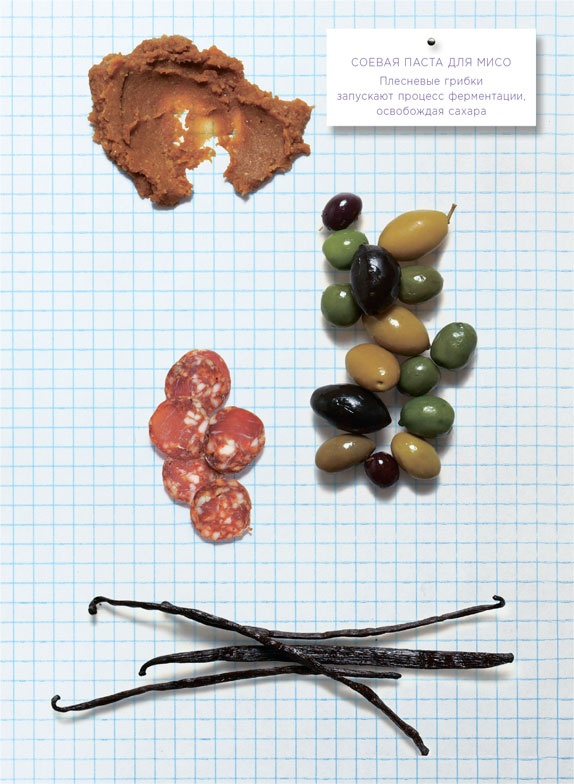 Иллюстрация к книге — Ингредиенты. Химия и алхимия гастрономического творчества [i_037.jpg]