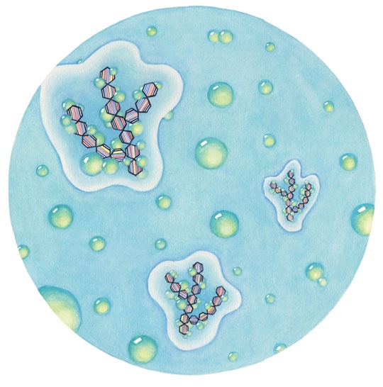 Иллюстрация к книге — Ингредиенты. Химия и алхимия гастрономического творчества [i_039.jpg]