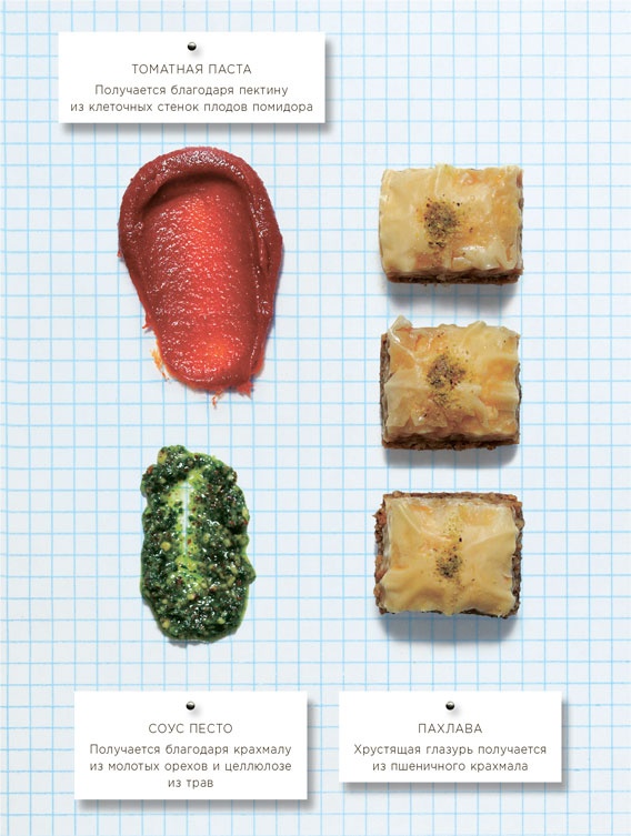 Иллюстрация к книге — Ингредиенты. Химия и алхимия гастрономического творчества [i_043.jpg]