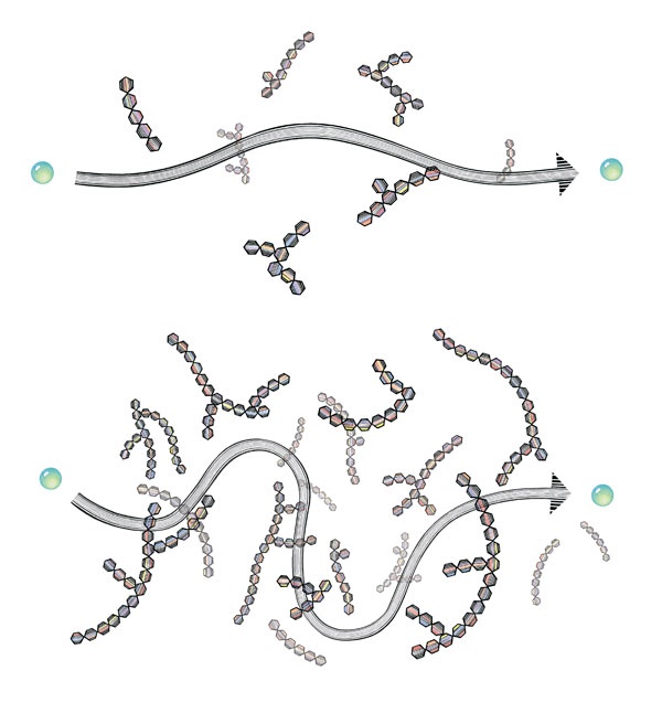 Иллюстрация к книге — Ингредиенты. Химия и алхимия гастрономического творчества [i_045.jpg]