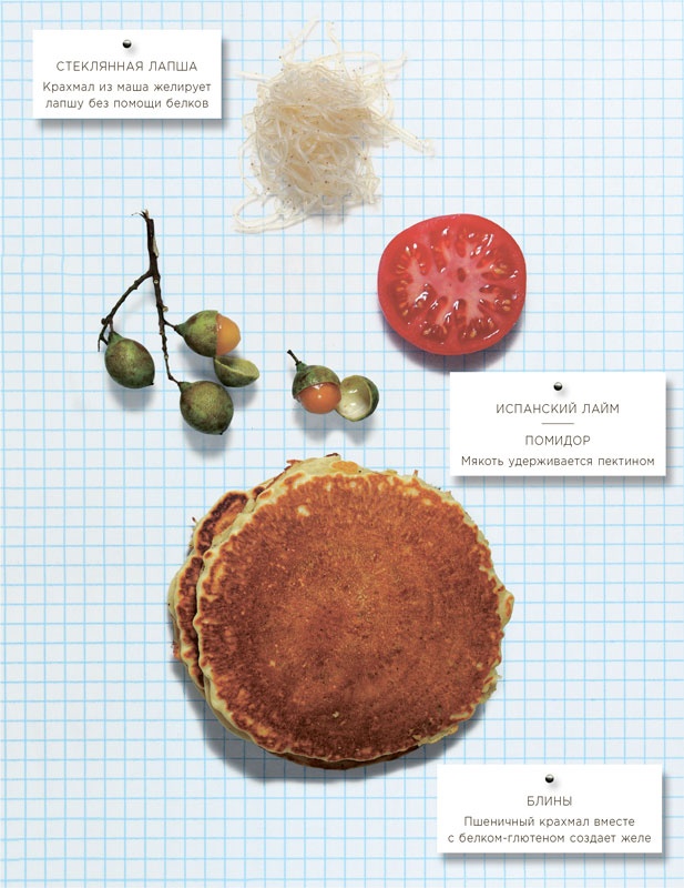 Иллюстрация к книге — Ингредиенты. Химия и алхимия гастрономического творчества [i_047.jpg]