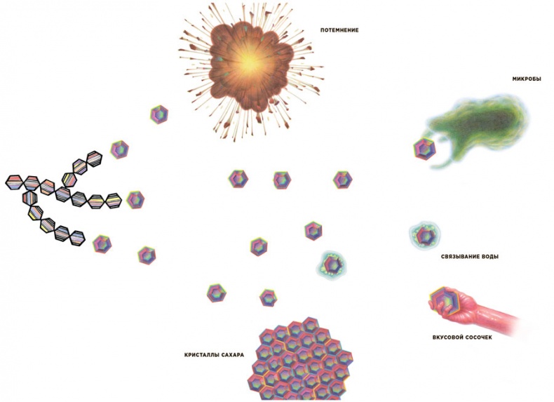 Иллюстрация к книге — Ингредиенты. Химия и алхимия гастрономического творчества [i_052.jpg]